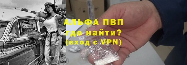 гидра Алексеевка