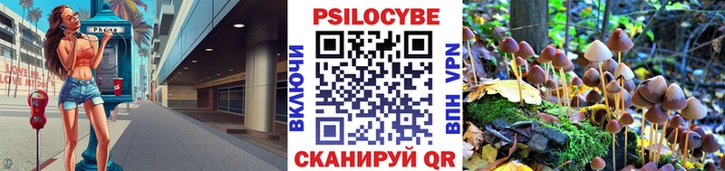 как найти Каменск-Уральский дарк нет телеграм Псилоцибиновые грибы Psilocybine cubensis